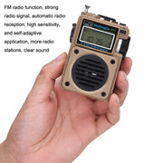 Radio portatile HanRongda HRD-701 Bluetooth con subwoofer