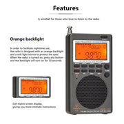Radio portatile HanRongda HRD-747 con display digitale