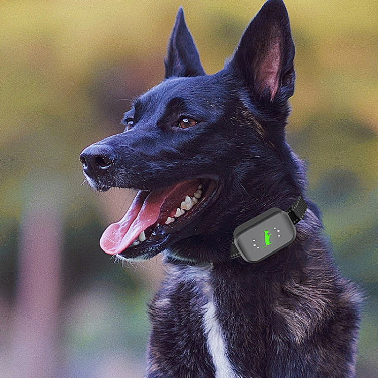 Tappo per abbaiare a distanza ricaricabile per addestratore di cani con shock elettrico impermeabile intelligente