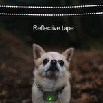 Tappo per abbaiare a distanza ricaricabile per addestratore di cani con shock elettrico impermeabile intelligente
