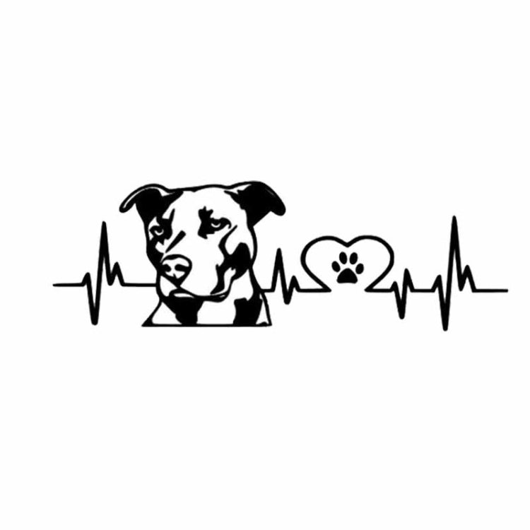 Etichetta per piastra di modifica posteriore per auto Pitbull Love da 10 pezzi
