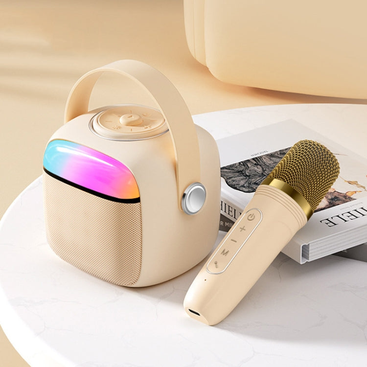 Set microfono altoparlante wireless Bluetooth portatile Havit P1 per canto domestico, Single-microphone, Dual-microphone