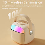 Set microfono e altoparlante Bluetooth portatile Havit P1