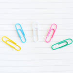 Deli 0024 Graffette per carta a colori per classificazione e archiviazione di file da 100 pezzi/scatola da 2,8 cm, 100pcs Paper Clips