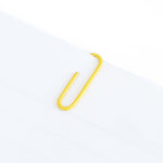 Deli 0024 Graffette per carta a colori per classificazione e archiviazione di file da 100 pezzi/scatola da 2,8 cm, 100pcs Paper Clips