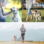 Sacco per rifiuti per animali domestici all'aperto Sacco per raccolta cacca di cane