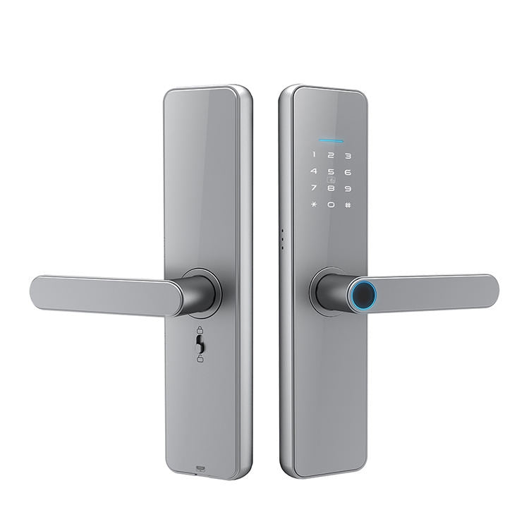 Serratura elettronica smart WiFi C91 con impronta digitale