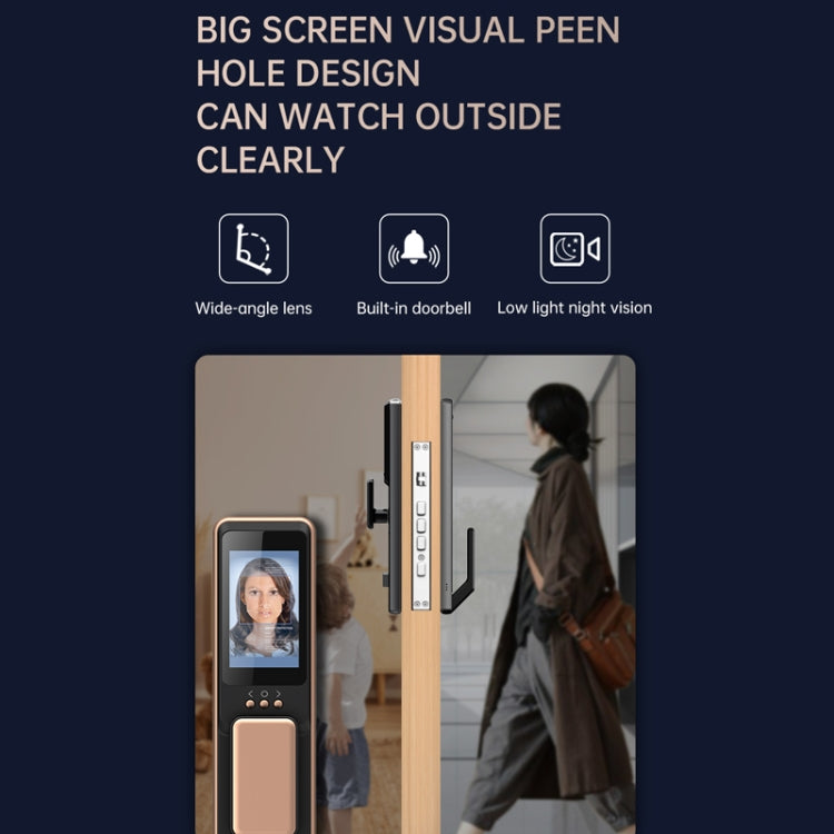 Blocco intelligente S61 con riconoscimento facciale 3D