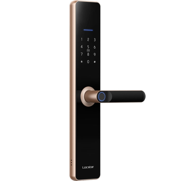 LOCSTAR Wifi Blocco impronte digitali Blocco password porta di sicurezza domestica Supporta lo sblocco remoto APP, A61 (Space Gray), A61 (Rose Gold)