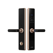 LOCSTAR Wifi Blocco impronte digitali Blocco password porta di sicurezza domestica Supporta lo sblocco remoto APP, A61 (Space Gray), A61 (Rose Gold)