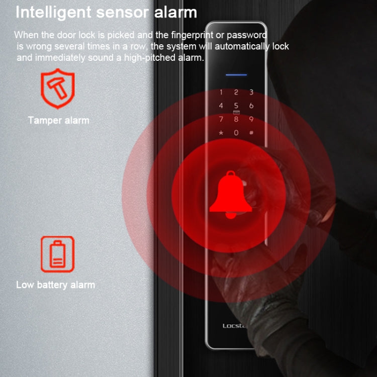 Blocco porta digitale WiFi con impronta e password