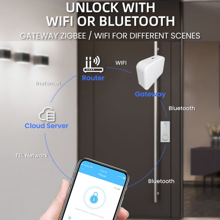 LOCSTAR C87 Smart Lock con impronta digitale e password