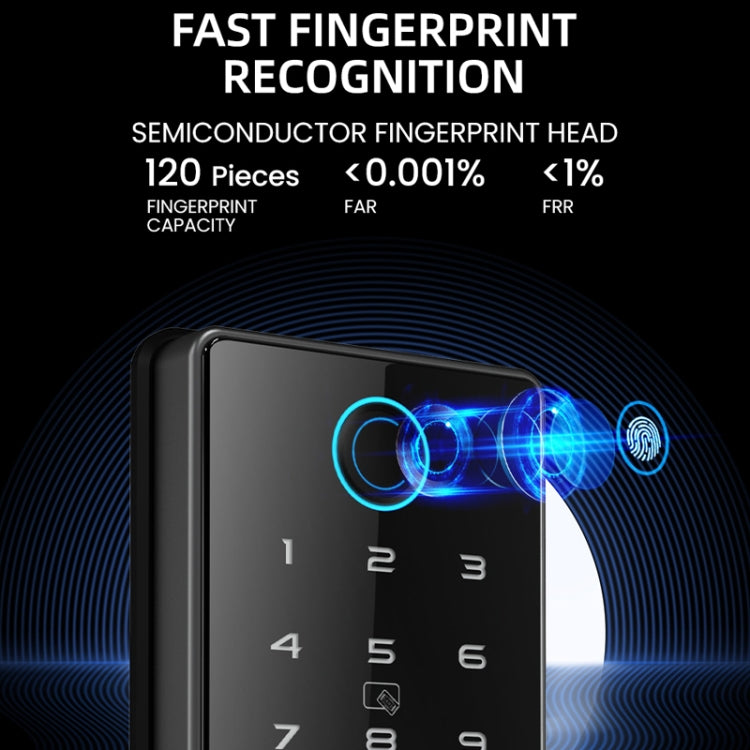 LOCSTAR C87 Smart Lock con impronta digitale e password