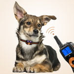 Dispositivo di addestramento per cani con telecomando elettronico intelligente, tappo antiabbaio per animali domestici, For-One-Dog, For-Two-Dog