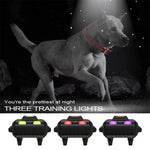 Dispositivo di addestramento per cani con telecomando elettronico intelligente, tappo antiabbaio per animali domestici, For-One-Dog, For-Two-Dog