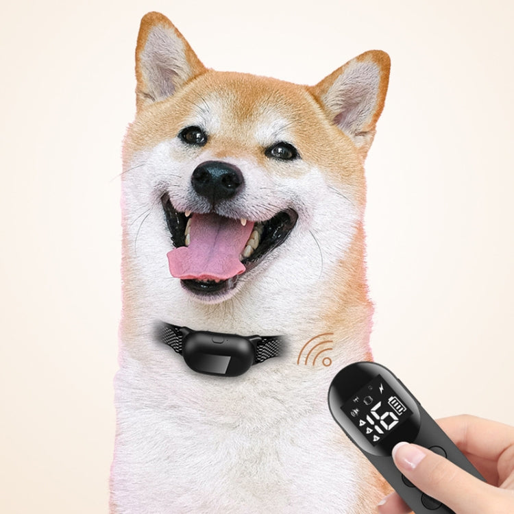 Collare antiurto impermeabile intelligente per dispositivo di addestramento per cani telecomandato per animali domestici, For-One-Dog, For-Two-Dog