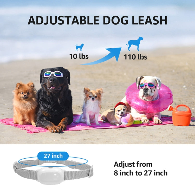 Collare antiurto impermeabile intelligente per dispositivo di addestramento per cani telecomandato per animali domestici, For-One-Dog, For-Two-Dog