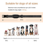 Collare di addestramento per cani Dispositivo di addestramento per animali con telecomando intelligente da 400 m, T300, Receiver