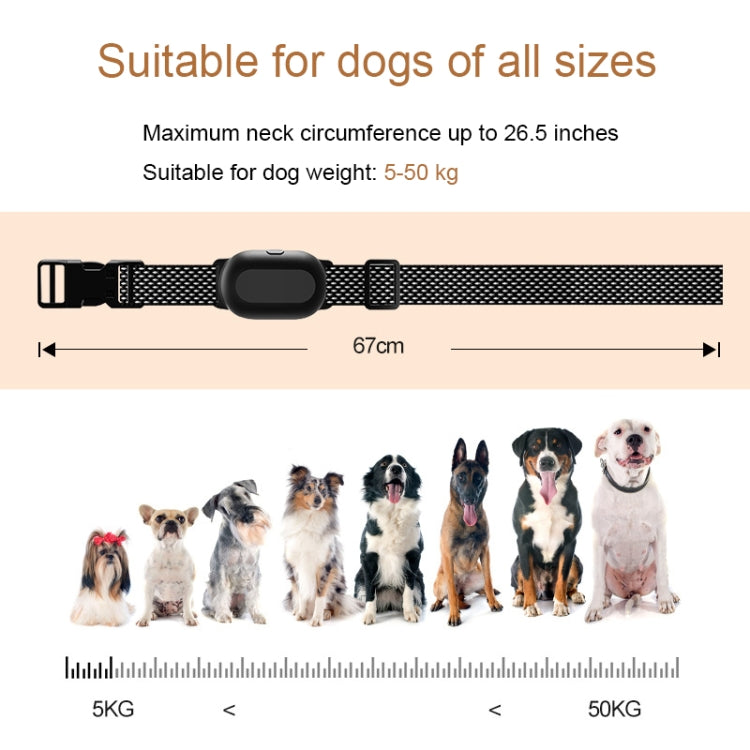 Collare di addestramento per cani Dispositivo di addestramento per animali con telecomando intelligente da 400 m, T300, Receiver