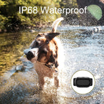 Collare di addestramento per cani Dispositivo di addestramento per animali con telecomando intelligente da 400 m, T300, Receiver