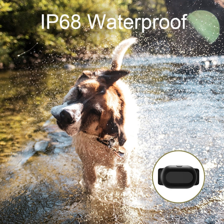Collare di addestramento per cani Dispositivo di addestramento per animali con telecomando intelligente da 400 m, T300, Receiver