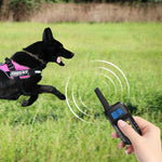 Collare impermeabile per addestramento con scosse elettriche intelligenti per animali domestici Dispositivo di addestramento per cani con telecomando da 1000 m, Receiver + Yellow Remote, Receiver + Red Remote, Only Receiver