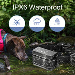 Collare impermeabile per addestramento con scosse elettriche intelligenti per animali domestici Dispositivo di addestramento per cani con telecomando da 1000 m, Receiver + Yellow Remote, Receiver + Red Remote, Only Receiver