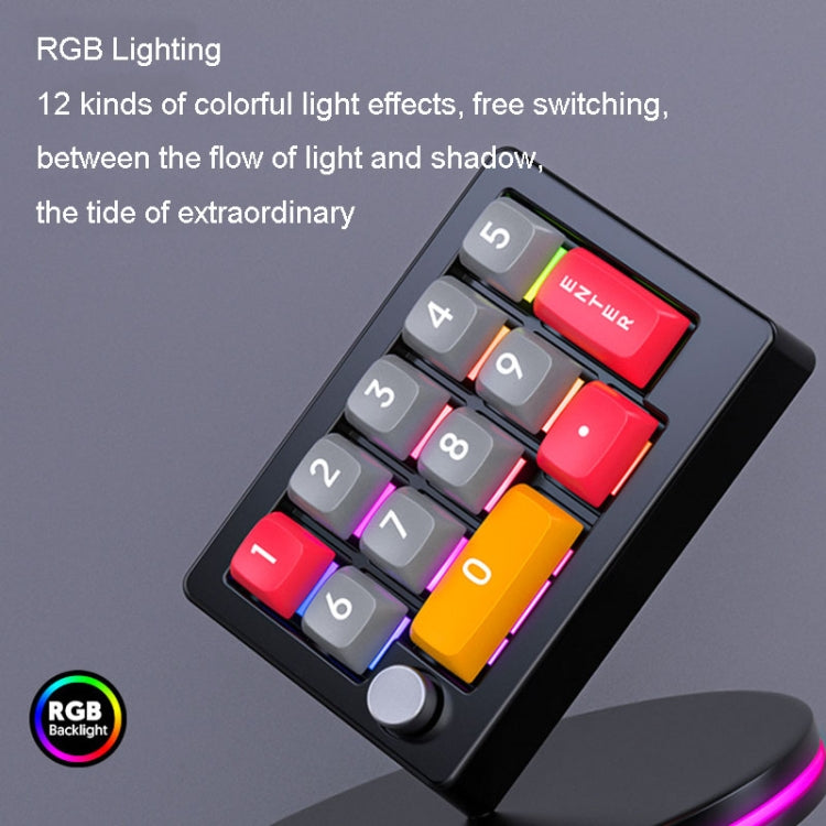 MKESPN 13 tasti Programmazione macro multifunzione RGB Tastiera meccanica cablata con tastiera a manopola