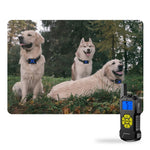 Collare da addestramento per cani antiurto impermeabile con tappo antiabbaio spray telecomandato da 800 m, T500, Receiver