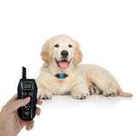 Dispositivo di addestramento per cani con telecomando elettronico intelligente Collare antiurto per addestramento di animali domestici, T700, Receiver