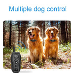 Dispositivo di addestramento per cani con telecomando elettronico intelligente Collare antiurto per addestramento di animali domestici, T700, Receiver