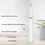 Set per la pulizia dei denti per la rimozione del tartaro elettrico 6 in 1, White Basic, White Exclusive, Black Basic, Black Exclusive, Green Basic, Green Exclusive, 5pcs Toothbrush Head White, 5pcs Toothbrush Head Black, 5pcs Toothbrush Head Green