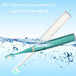 Set per la pulizia dei denti per la rimozione del tartaro elettrico 6 in 1, White Basic, White Exclusive, Black Basic, Black Exclusive, Green Basic, Green Exclusive, 5pcs Toothbrush Head White, 5pcs Toothbrush Head Black, 5pcs Toothbrush Head Green