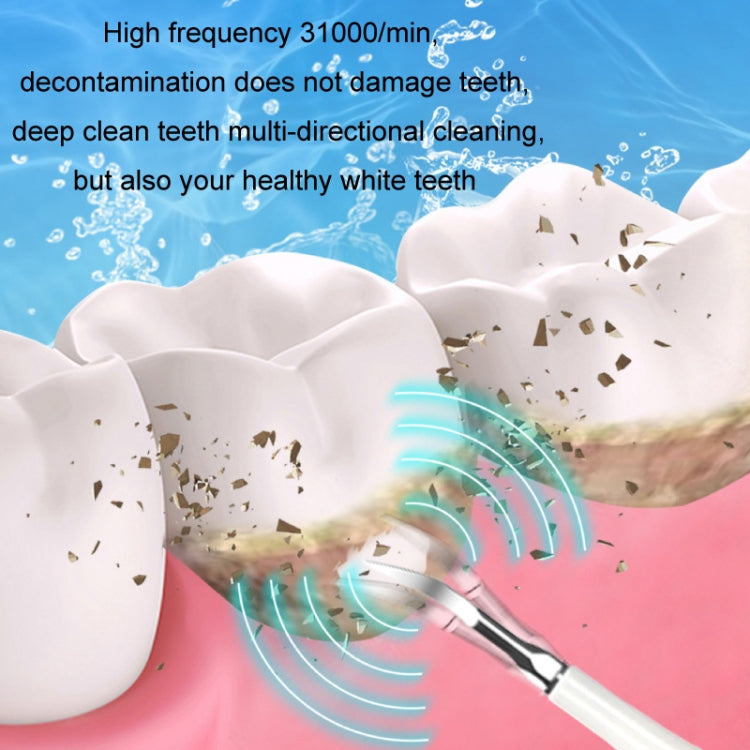 Set per la pulizia dei denti per la rimozione del tartaro elettrico 6 in 1, White Basic, White Exclusive, Black Basic, Black Exclusive, Green Basic, Green Exclusive, 5pcs Toothbrush Head White, 5pcs Toothbrush Head Black, 5pcs Toothbrush Head Green