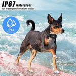 Collare vibrante impermeabile Stop Barker per addestramento cani con telecomando intelligente, 669N-1, 669N-2