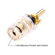 Morsettiera trasparente di media estensione Morsetto a banana da 4 mm per amplificatore audio, Medium Black