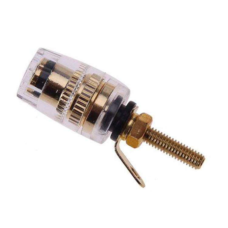 Morsettiera trasparente di media estensione Morsetto a banana da 4 mm per amplificatore audio, Medium Black