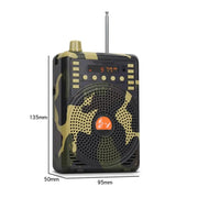 Amplificatore vocale Bluetooth wireless 48W con telecomando