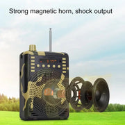 Amplificatore vocale Bluetooth wireless 48W con telecomando