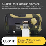 Amplificatore vocale Bluetooth wireless 48W con telecomando