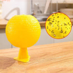 Palline per moscerini della frutta da 8 cm per uso interno Trappola per insetti Palline per insetti appiccicose, Without Core