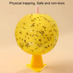 Palline per moscerini della frutta da 8 cm per uso interno Trappola per insetti Palline per insetti appiccicose, Without Core