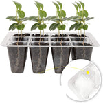 1 pz/set scatola per piantina con copertura traspirante regolabile ispessita a 12 fori, 1pcs/set 12-hole
