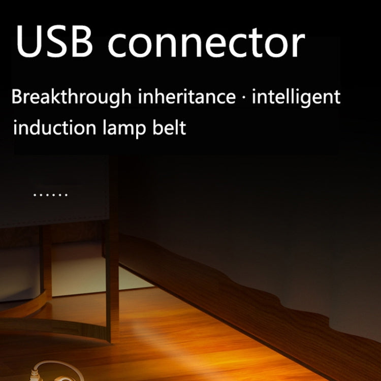 Striscia luminosa flessibile con sensore corpo LED da 2 m Striscia luminosa USB con sensore intelligente