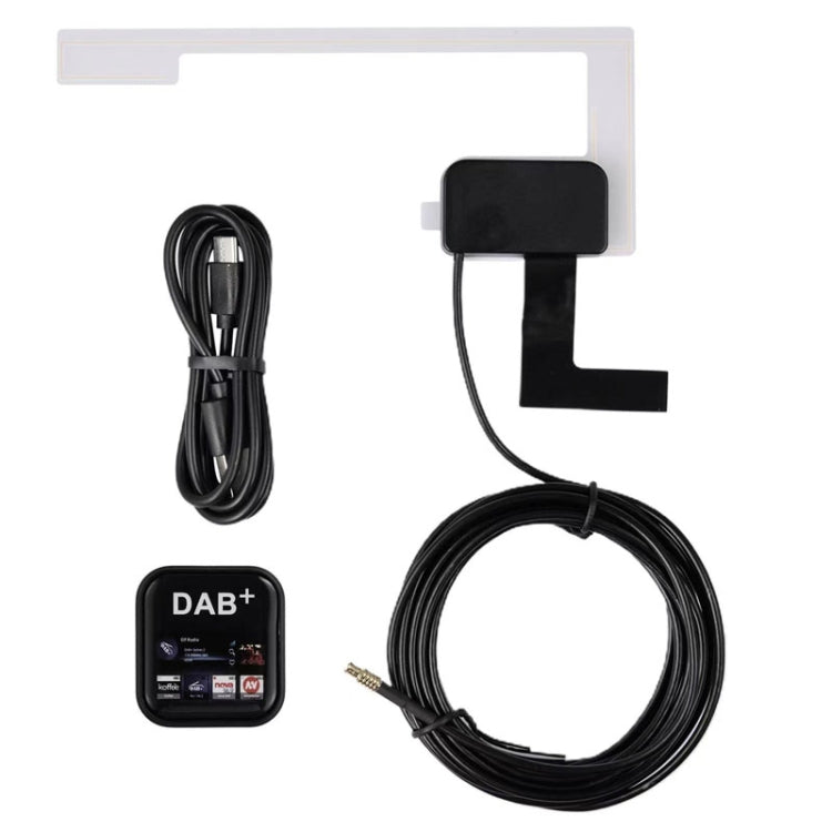 Trasmissione digitale europea Interfaccia DAB+Type-C per Europa/Australia