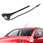 Antenna automobilistica Antenne AM/FM per radio universale per auto, Passive Antenna, Active Antenna