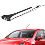 Antenna automobilistica Antenne AM/FM per radio universale per auto, Passive Antenna, Active Antenna