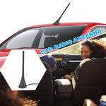 Antenna automobilistica Antenne AM/FM per radio universale per auto, Passive Antenna, Active Antenna
