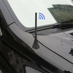 Antenna automobilistica Antenne AM/FM per radio universale per auto, Passive Antenna, Active Antenna