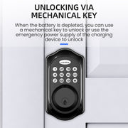 Serratura elettronica intelligente automatica con password Tuya remota Bluetooth LOCSTAR C88, C88 Black